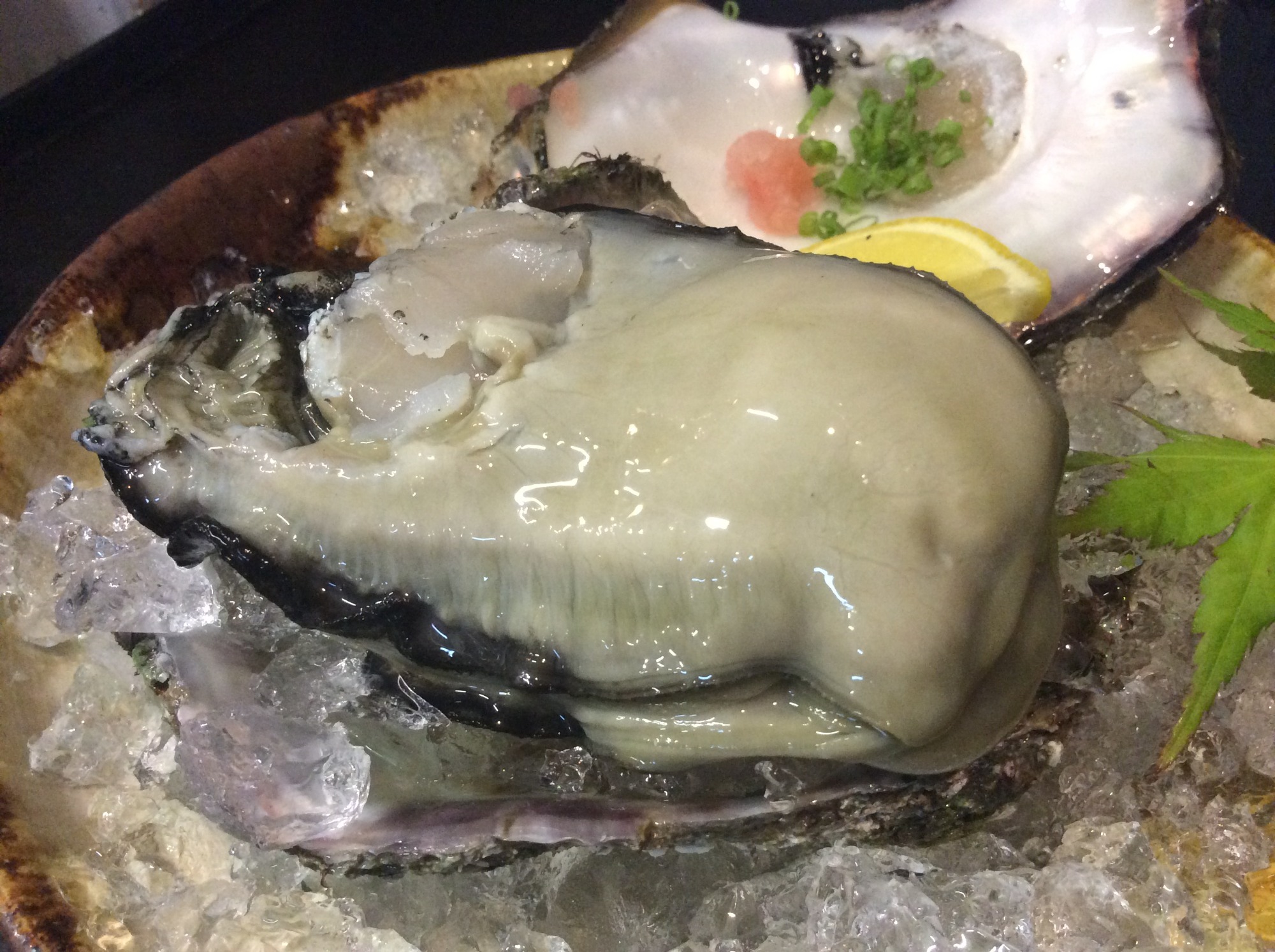 春日井の居酒屋 旬彩遊膳ながなわの海鮮メニュー「真牡蠣・岩牡蠣」